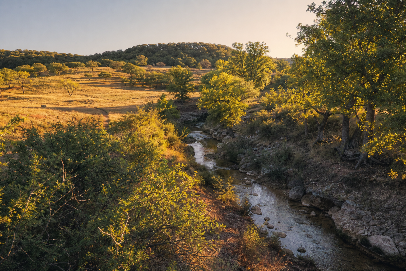 Buying Hunting Land Near Jacksboro