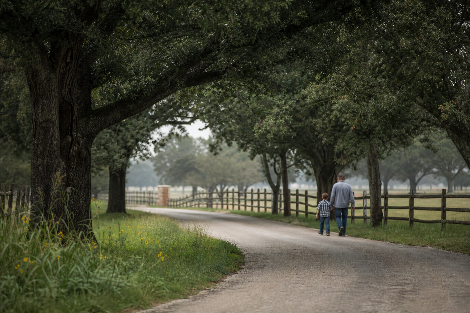 Brock ISD Homes for Sale