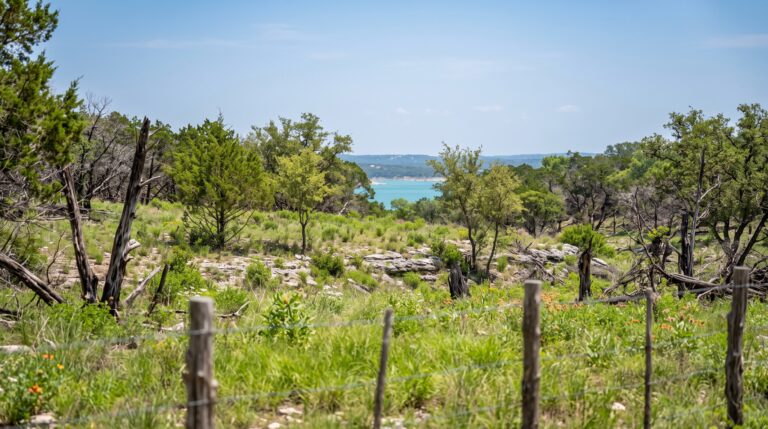 How Wildfires Impact Land Values Near Possum Kingdom Lake in North Texas