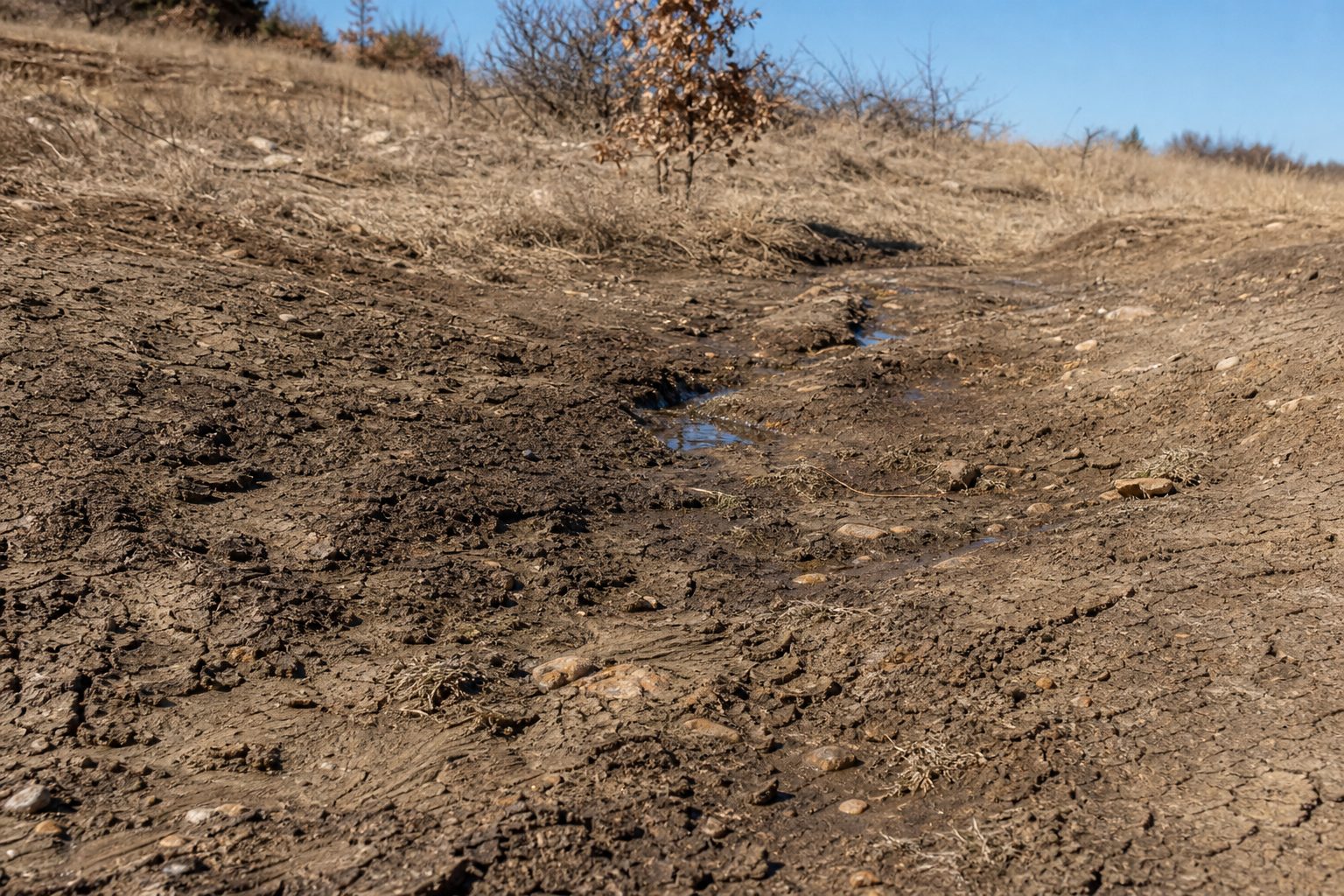 Close-up of Eagle Ford clay soil showing natural cracks and drainage patterns on Parker County ranch acreage.